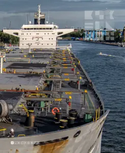 ROLAND OLDENDORFF - Bulk Carrier, IMO 9463633 — frame 10 of 40