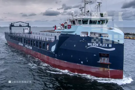 WILSON FLEX III - General cargo ship — kadr 14 z 18