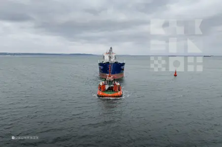 POLSTEAM KOPROWO - Bulk Carrier — kadr 10 z 25