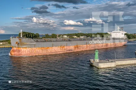 ROLAND OLDENDORFF - Bulk Carrier, IMO 9463633 — frame 39 of 40