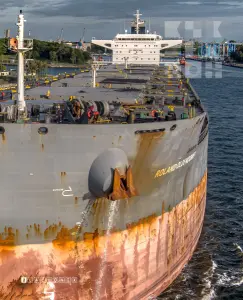ROLAND OLDENDORFF - Bulk Carrier, IMO 9463633 — frame 4 of 40