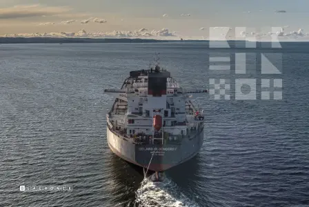 ROLAND OLDENDORFF - Bulk Carrier, IMO 9463633 — frame 23 of 40