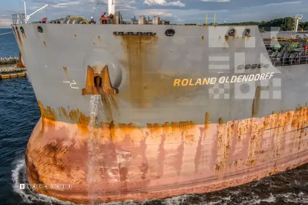ROLAND OLDENDORFF - Bulk Carrier, IMO 9463633 — frame 13 of 40