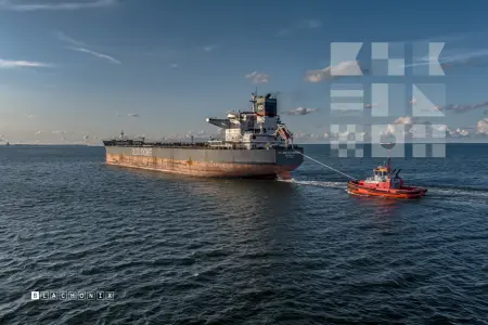 ROLAND OLDENDORFF - Bulk Carrier, IMO 9463633 — frame 29 of 40