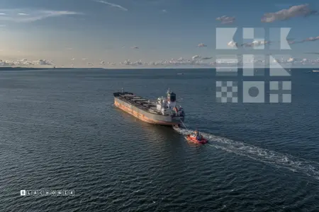 ROLAND OLDENDORFF - Bulk Carrier, IMO 9463633 — frame 30 of 40