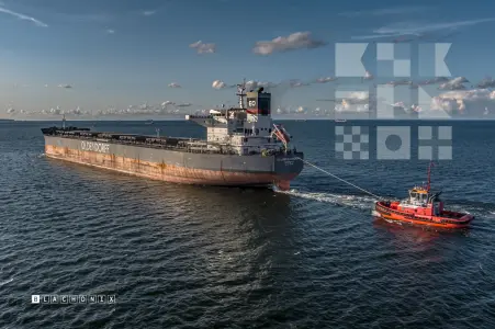 ROLAND OLDENDORFF - Bulk Carrier, IMO 9463633 — frame 28 of 40