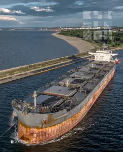 ROLAND OLDENDORFF - Bulk Carrier, IMO 9463633 — frame 17 of 40